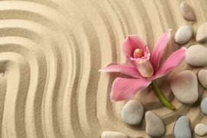 Orchid and stones on sand background, top view. Zen concept