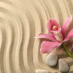 Orchid and stones on sand background, top view. Zen concept